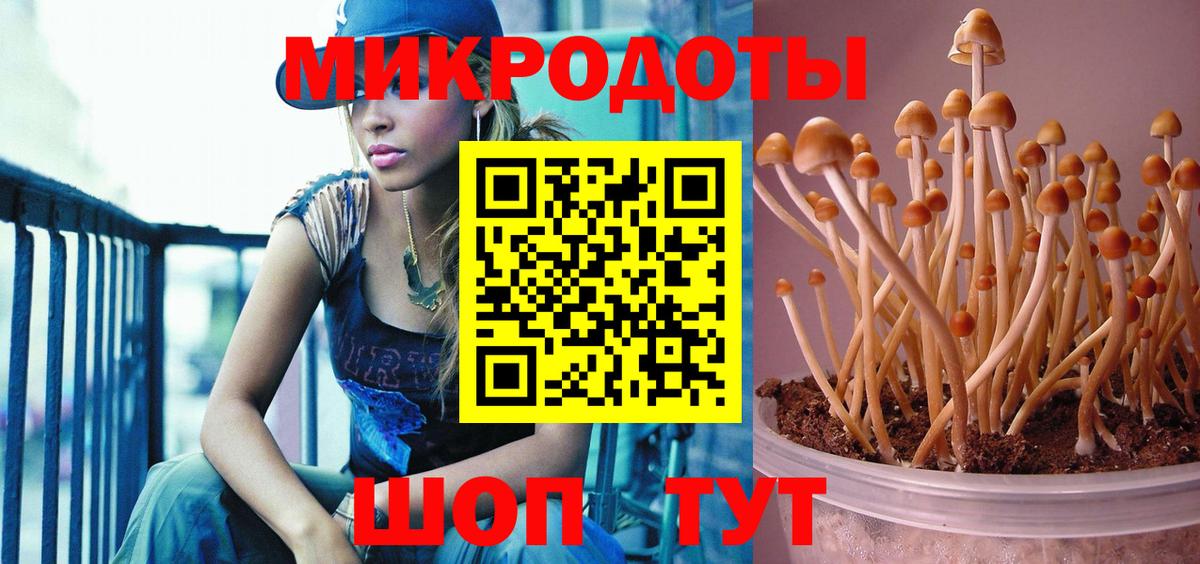 Зима  Галлюциногенные грибы Cubensis  Вход с VPN  Галлюциногенные грибы Psilocybine cubensis 