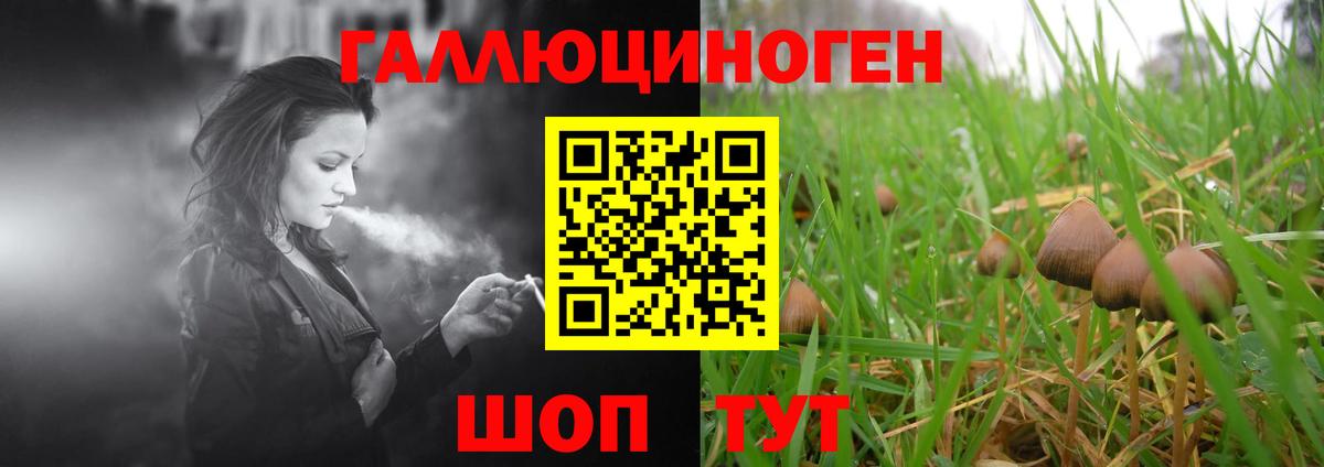Псилоцибиновые грибы ЛСД Зима
